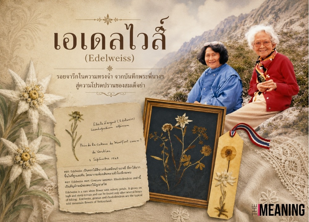 (ตอนที่ 2) “เอเดลไวส์”(Edelweiss) รอยจารึกในความทรงจำ