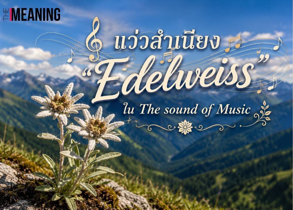 (ตอนที่ 3) : บทเพลงอมตะท้าลมหนาว แว่วสำเนียง Edelweiss จากภาพยนตร์ก้องโลก