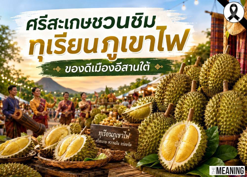ศรีสะเกษชวนชิมทุเรียนภูเขาไฟ ของดีเมืองอีสานใต้